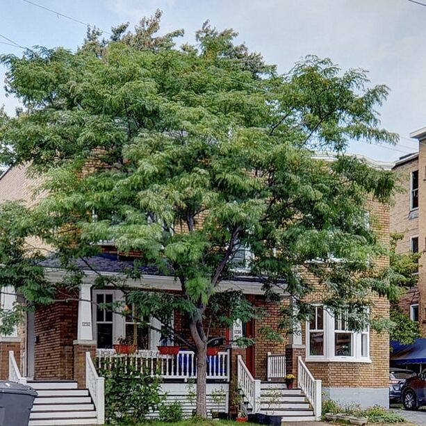 1230 René-Levesque O