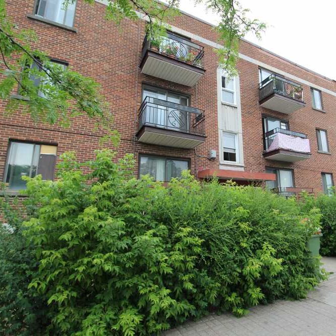 1545 Boulevard Edouard-Laurin #8