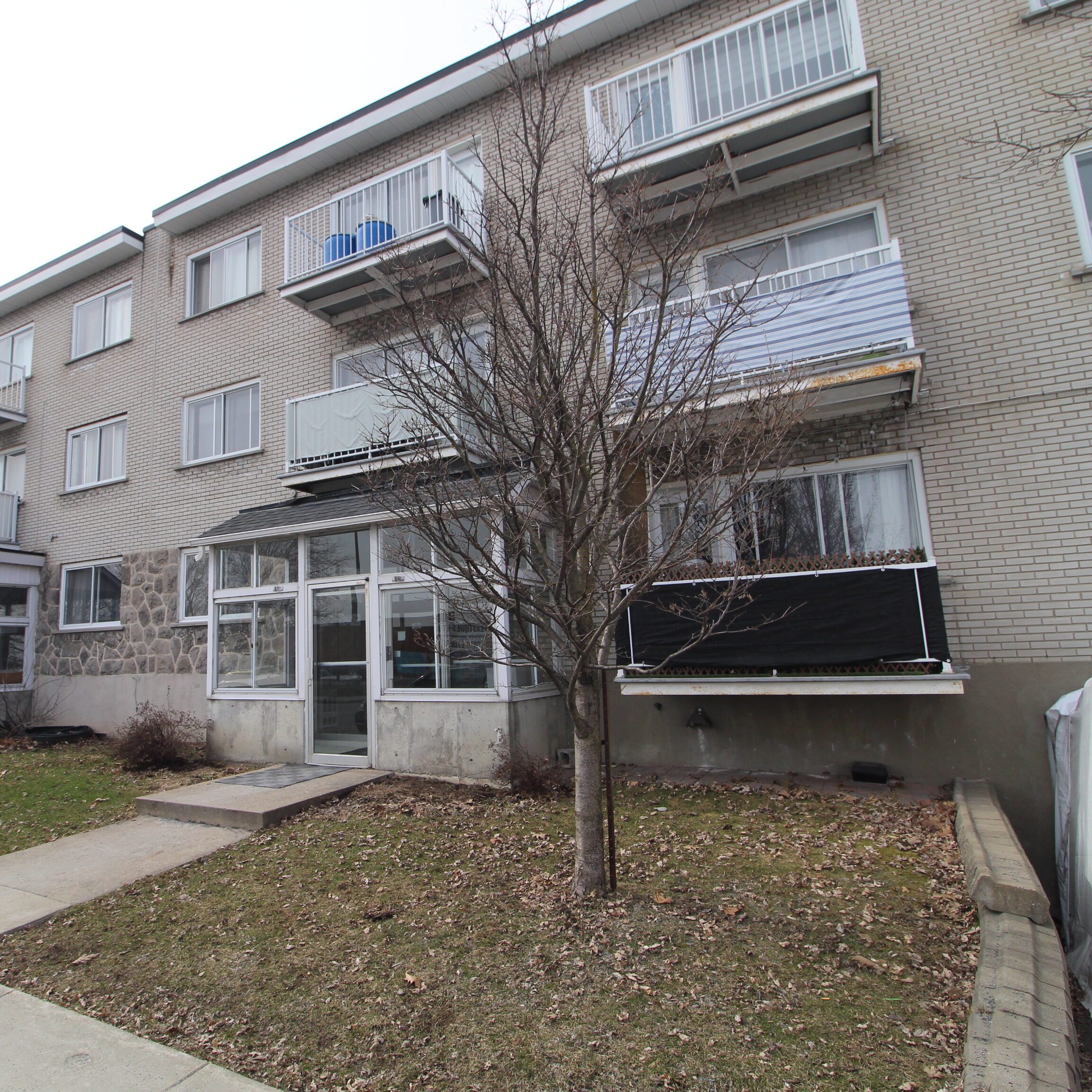 6295 Ave. Pierre-de Coubertin #3